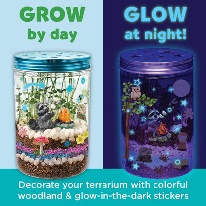 Grow N' Glow Terrarium Craft Kit