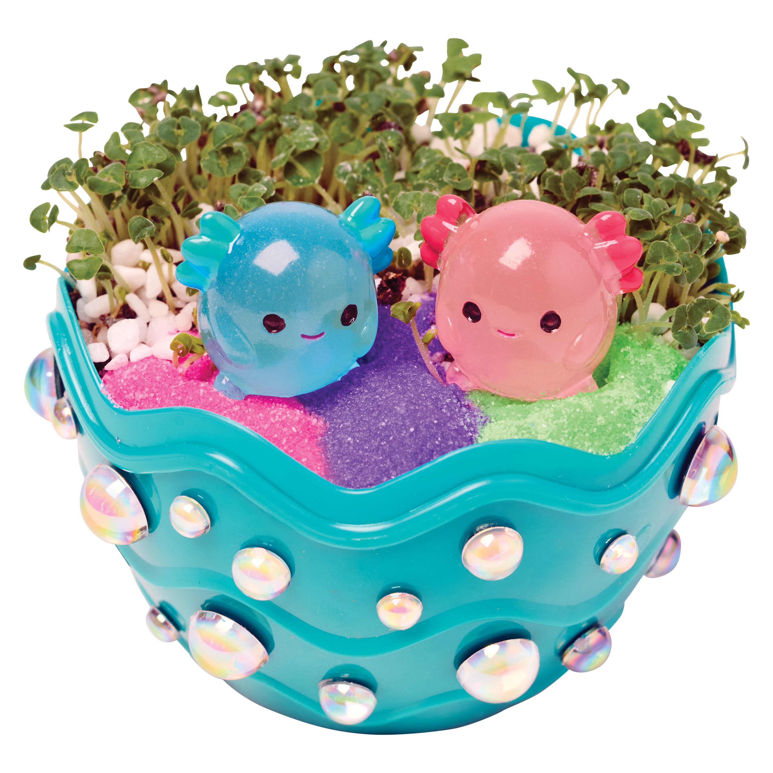 Grow a Mini Garden - Axolotl - DIY Craft Kit for Kids