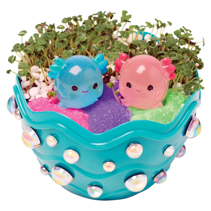 Grow a Mini Garden - Axolotl - DIY Craft Kit for Kids