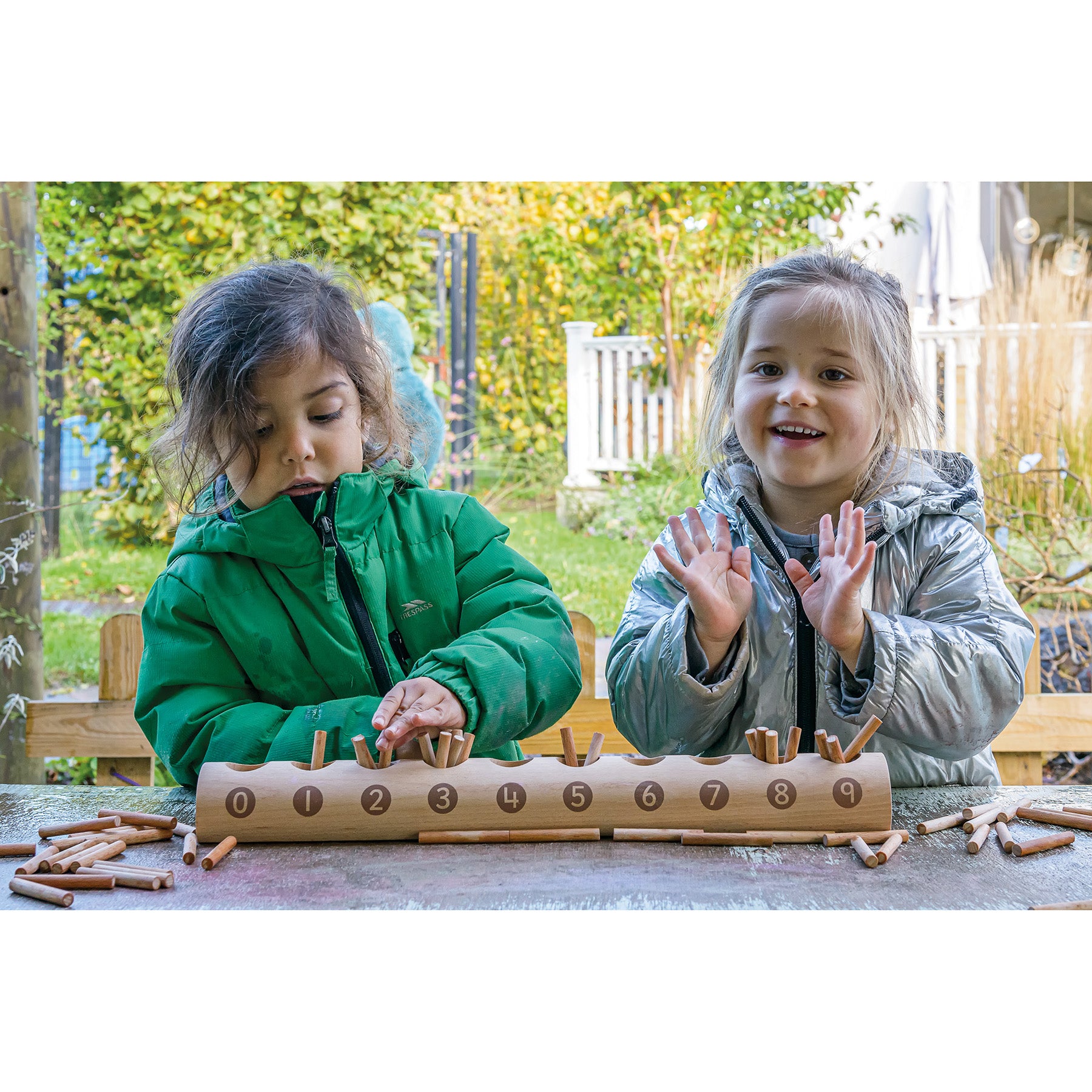 Wooden Counting Log