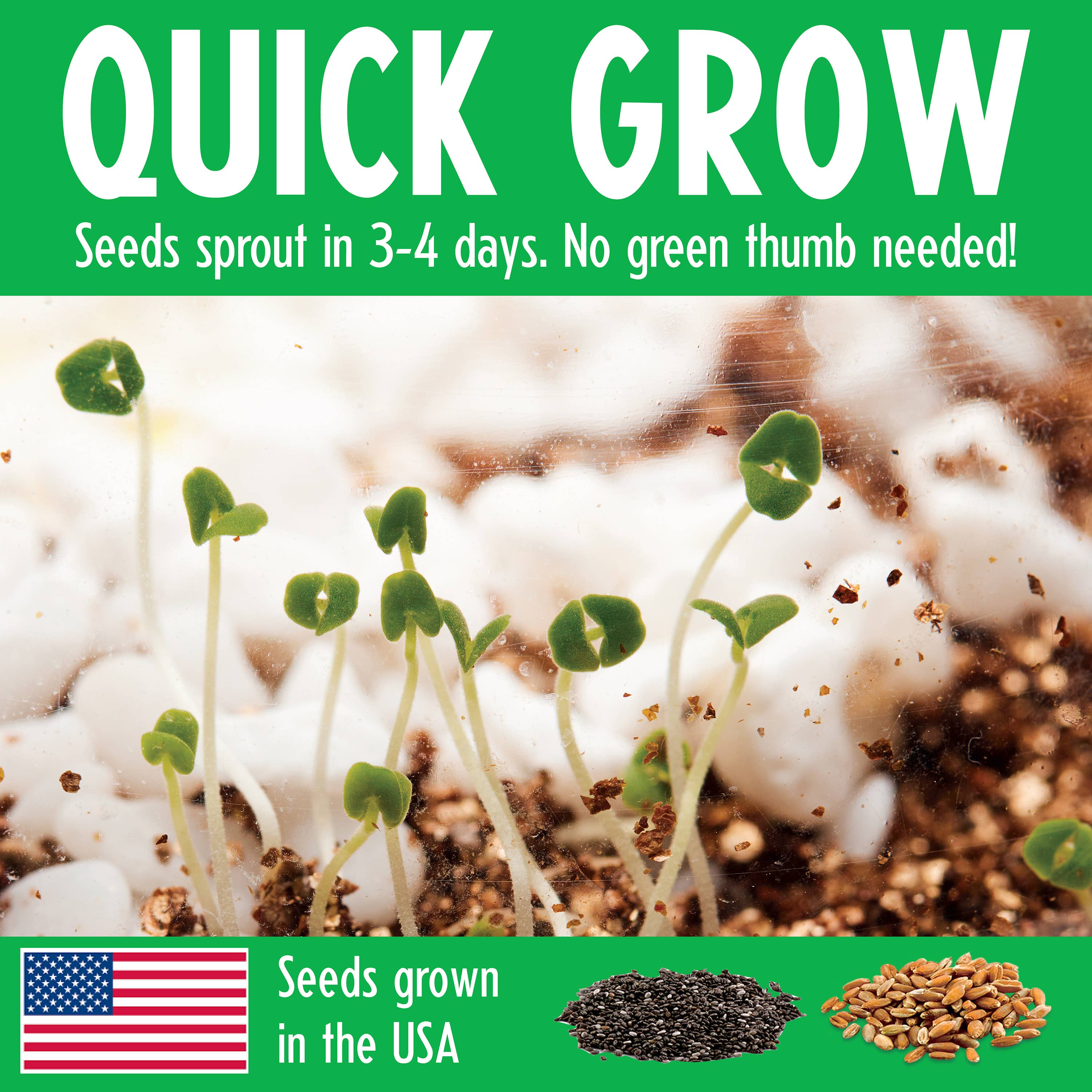 Grow N' Glow Dinosaur Terrarium DIY Craft Kit for Kids