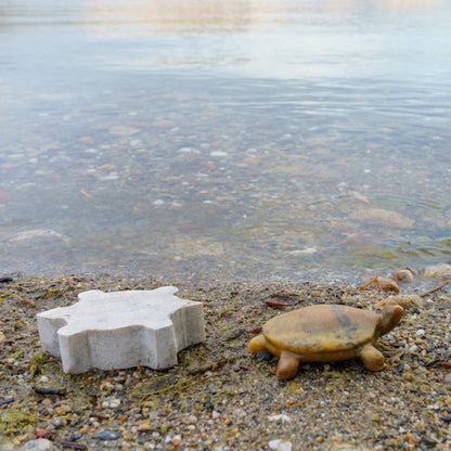 Turtle & Orca Soapstone Carving and Whittling