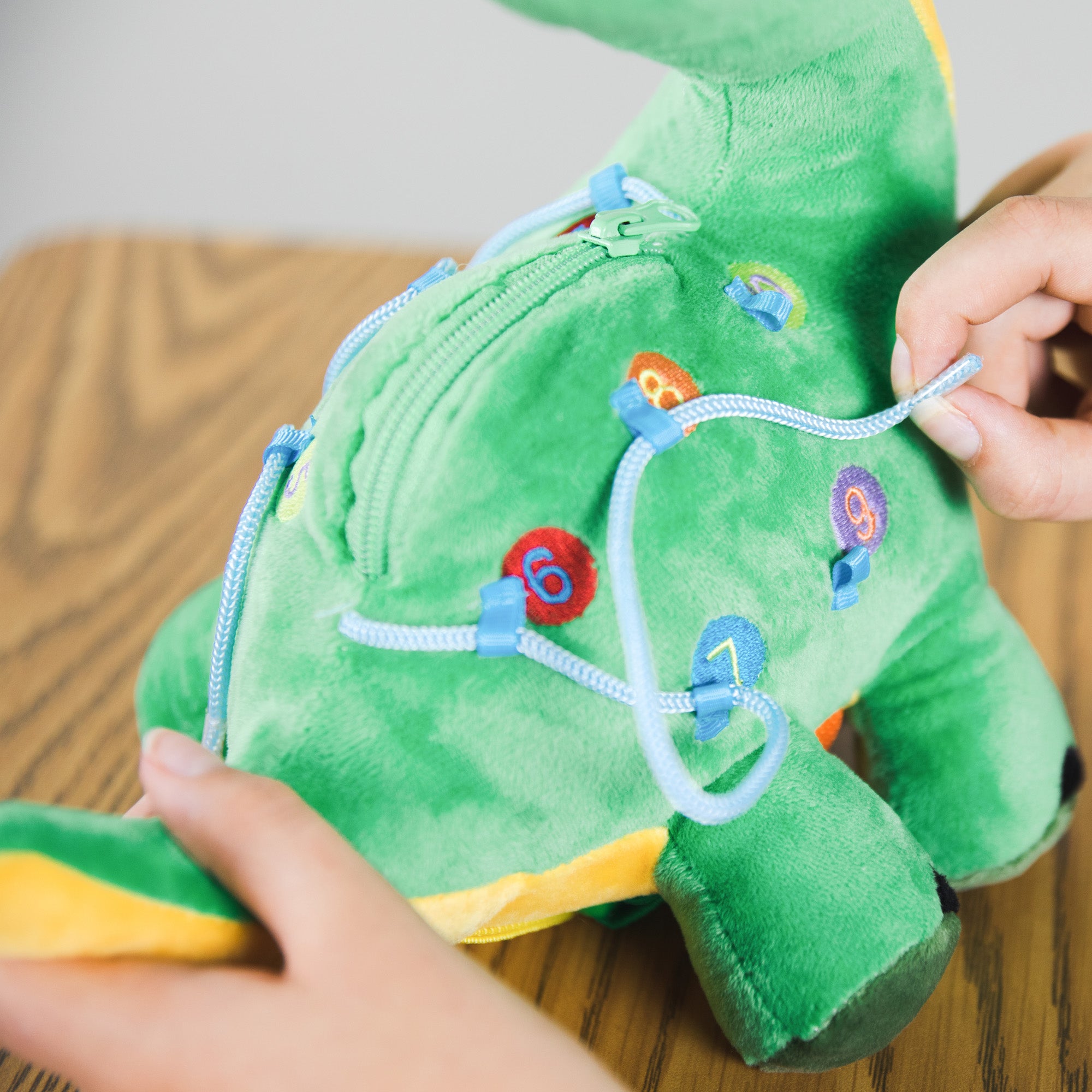 Sensory Activity Toy Dinosaur