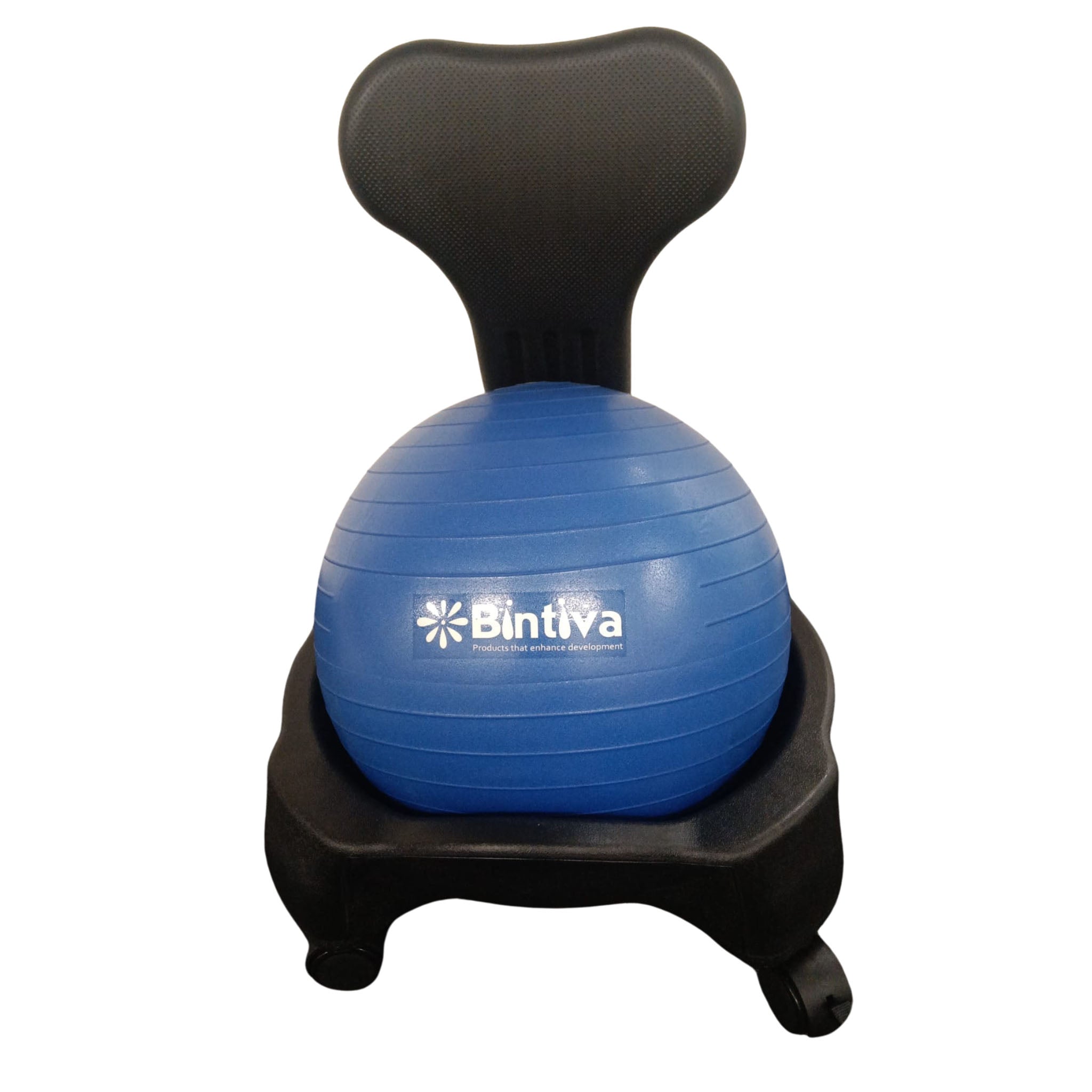 Stability Ball Chair