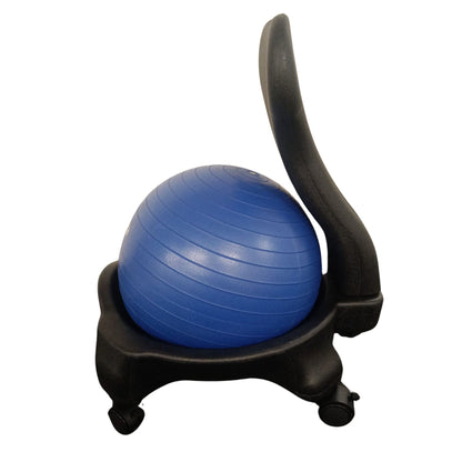 Stability Ball Chair