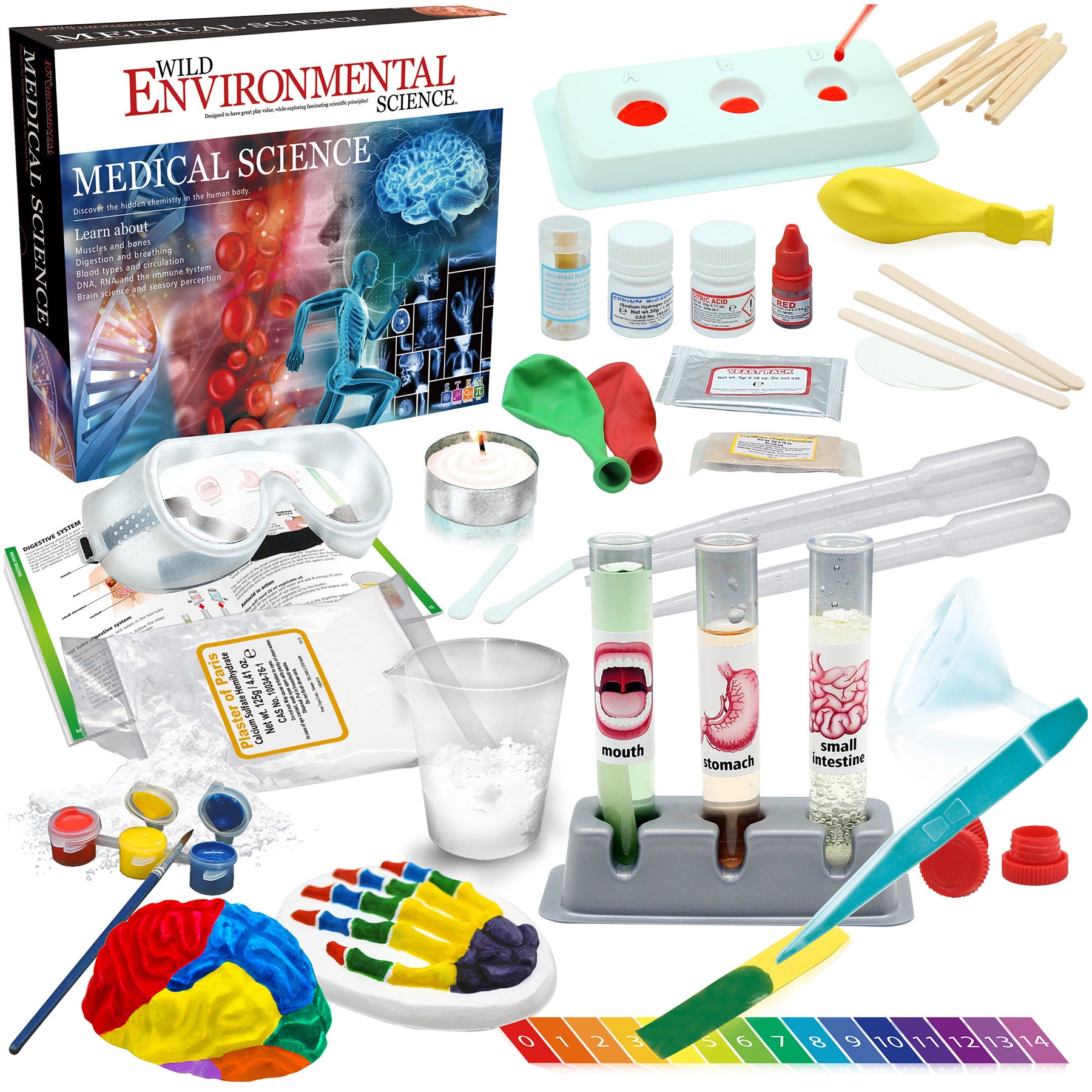 Medical Science STEM Kit