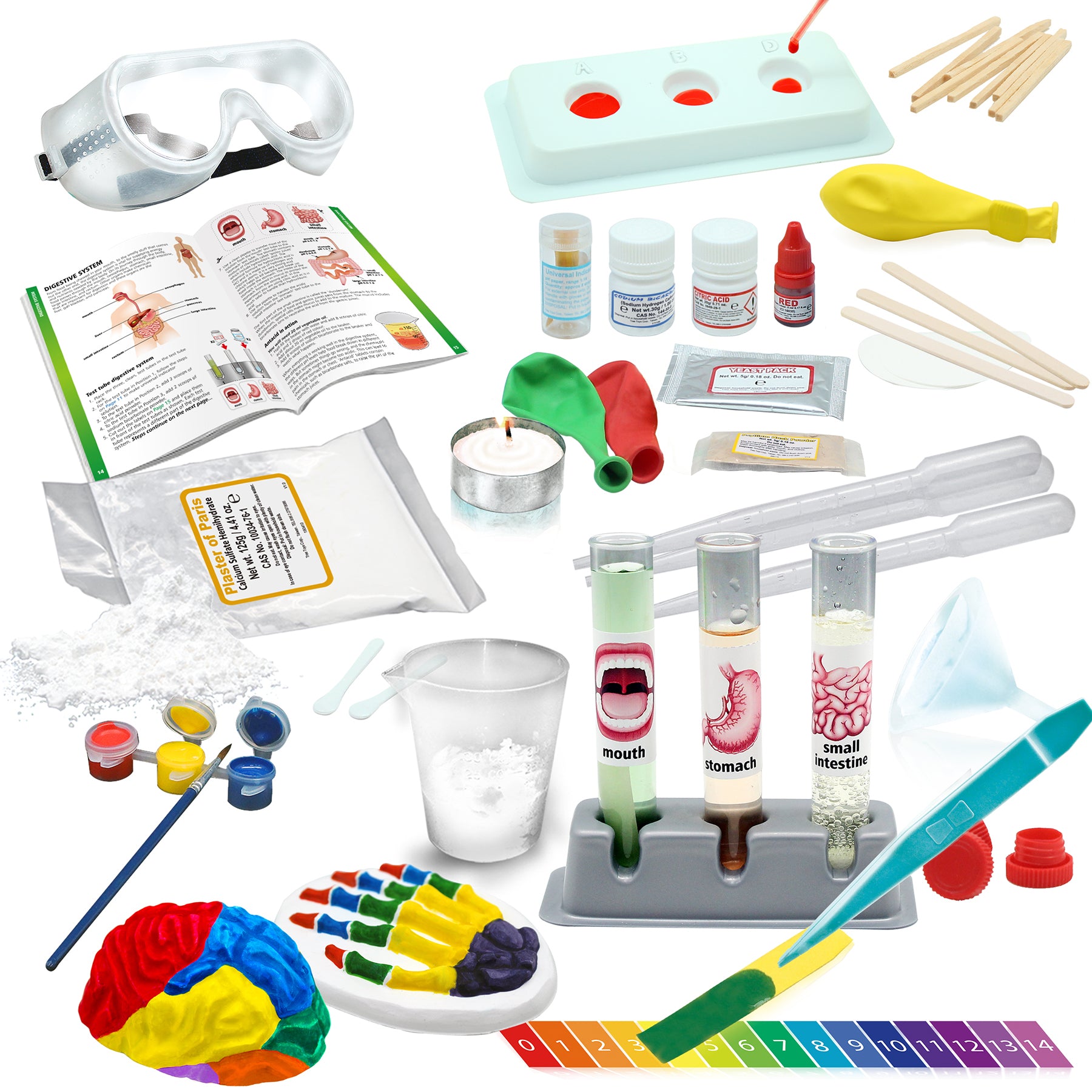 Medical Science STEM Kit