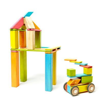 Tegu 90pc Classroom Kit + Lesson Plans