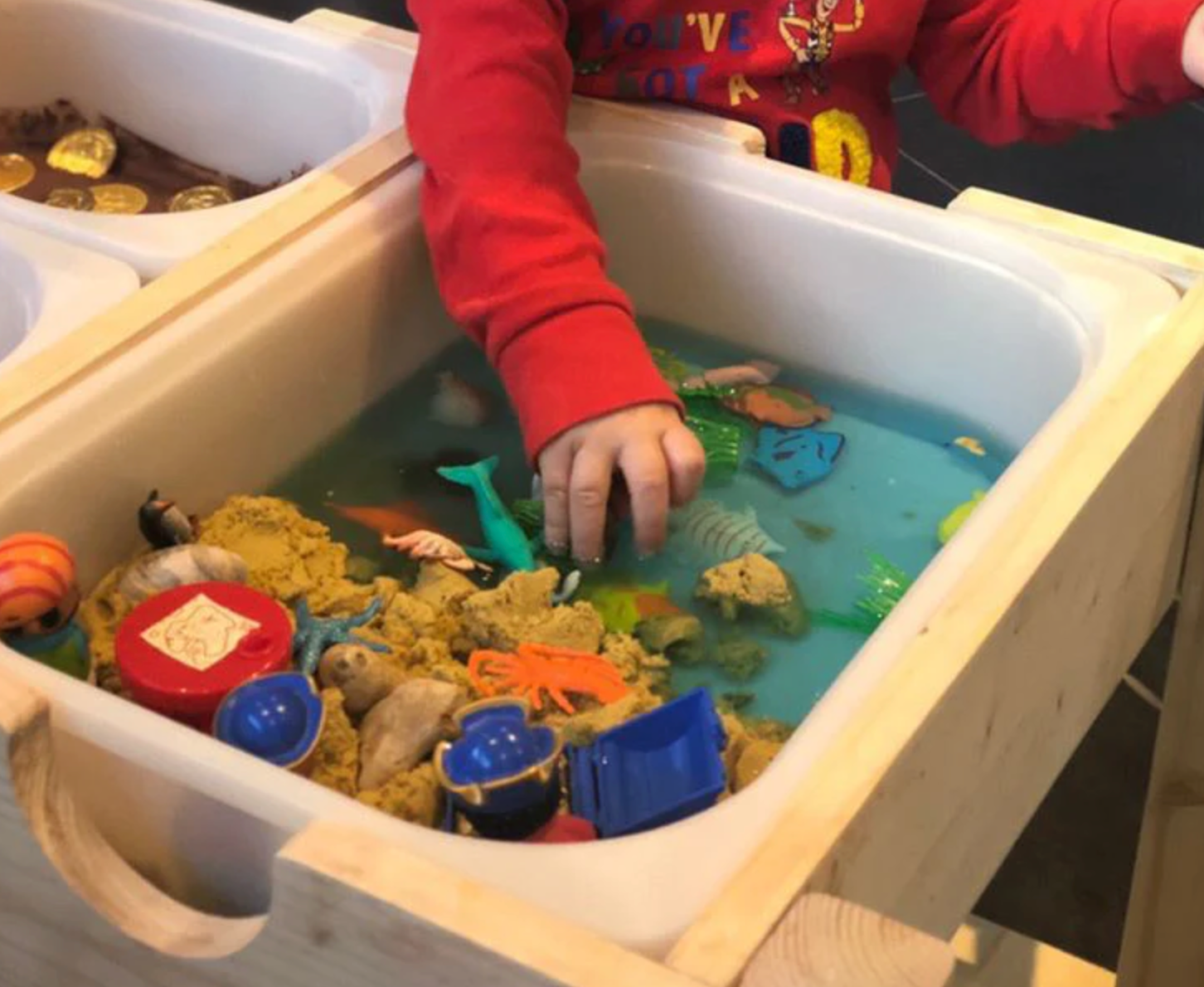 PreK+ Montessori Sensory Bin Table Curriculum Set