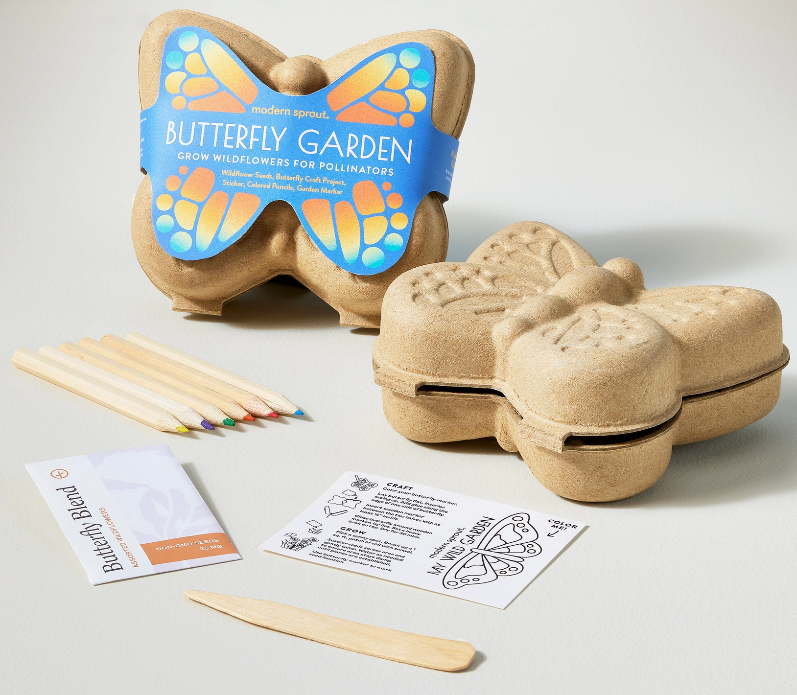 Butterfly Life Cycle Curriculum Kit