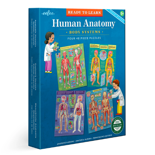 Human Anatomy Puzzles