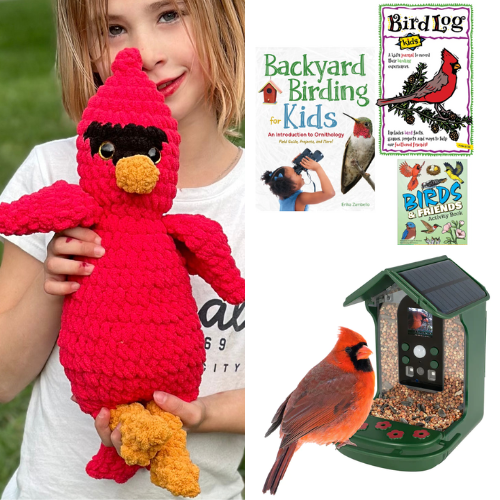 Adventures in Birding Curriculum Kit