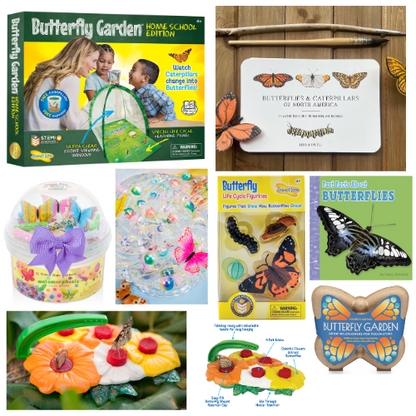 Butterfly Life Cycle Curriculum Kit