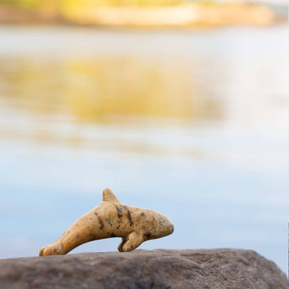 Turtle & Orca Soapstone Carving and Whittling