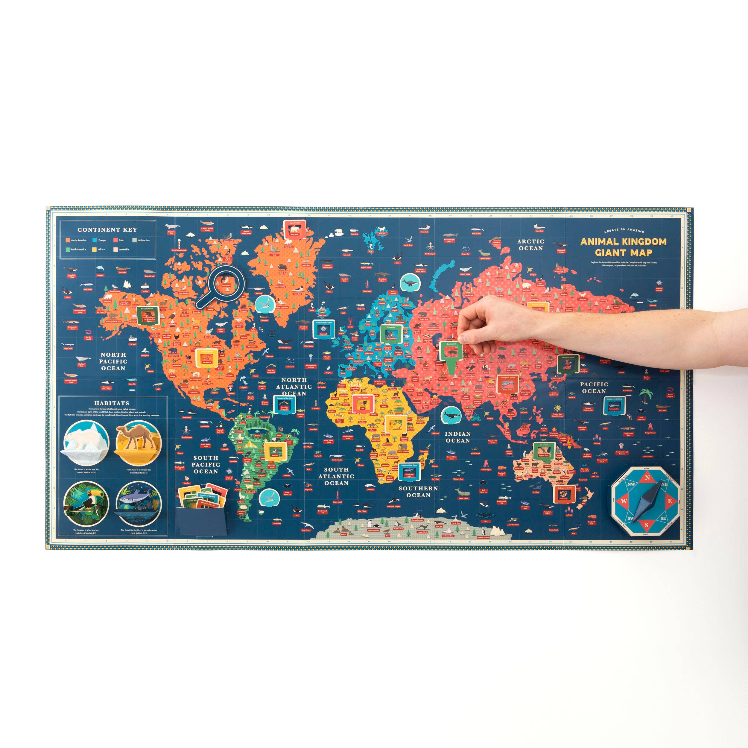 Create An Amazing Animal Kingdom Giant Map