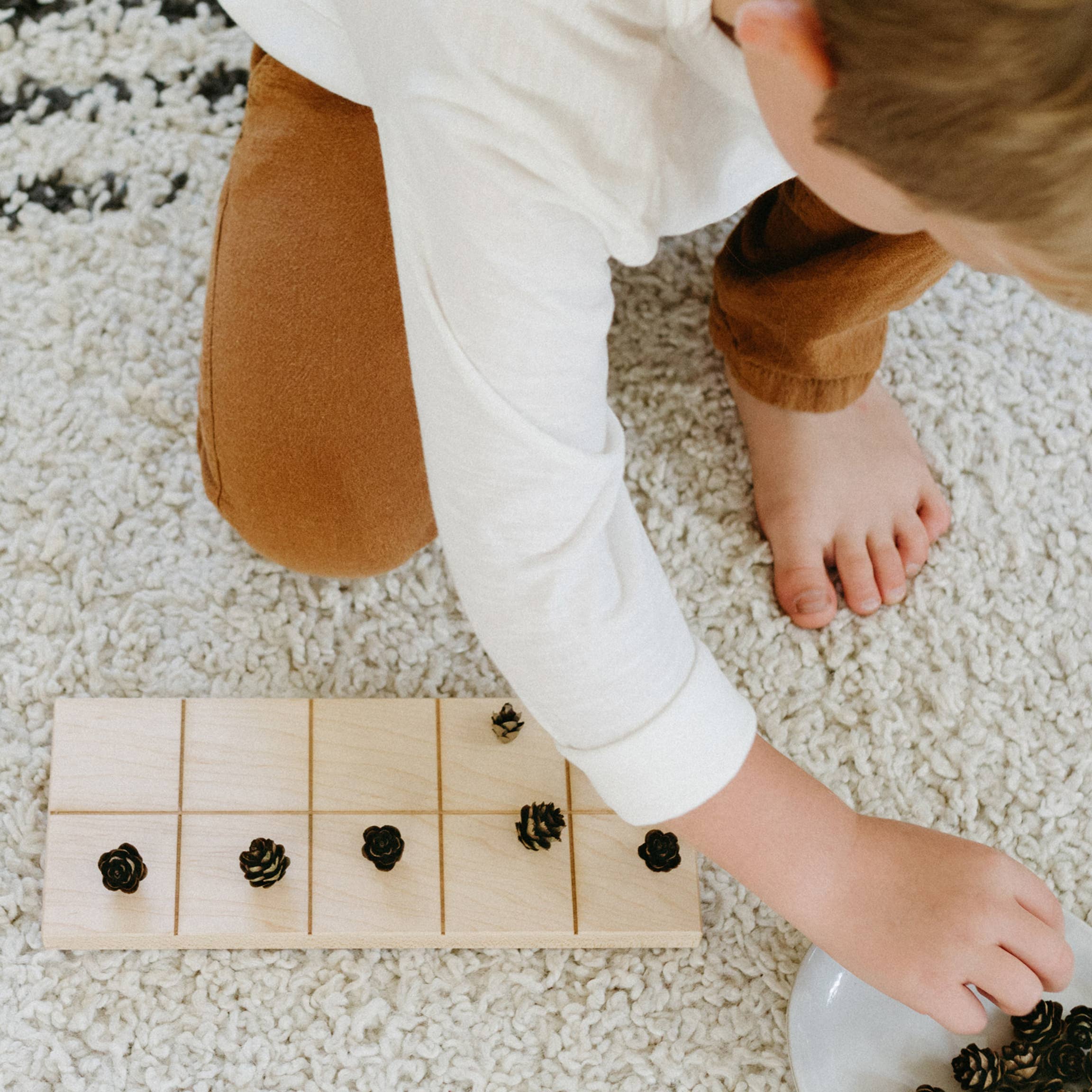 Wooden Ten Frame & Counting Pieces