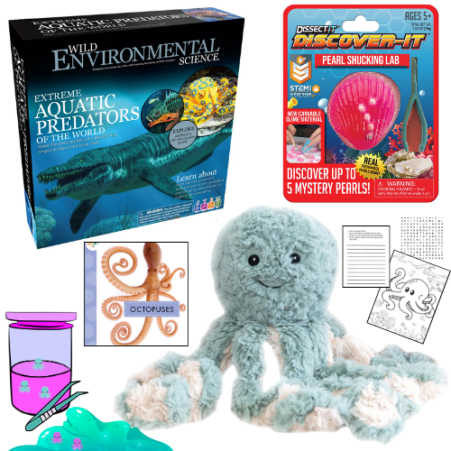 Environmental Science Curriculum Kit: The Octopus