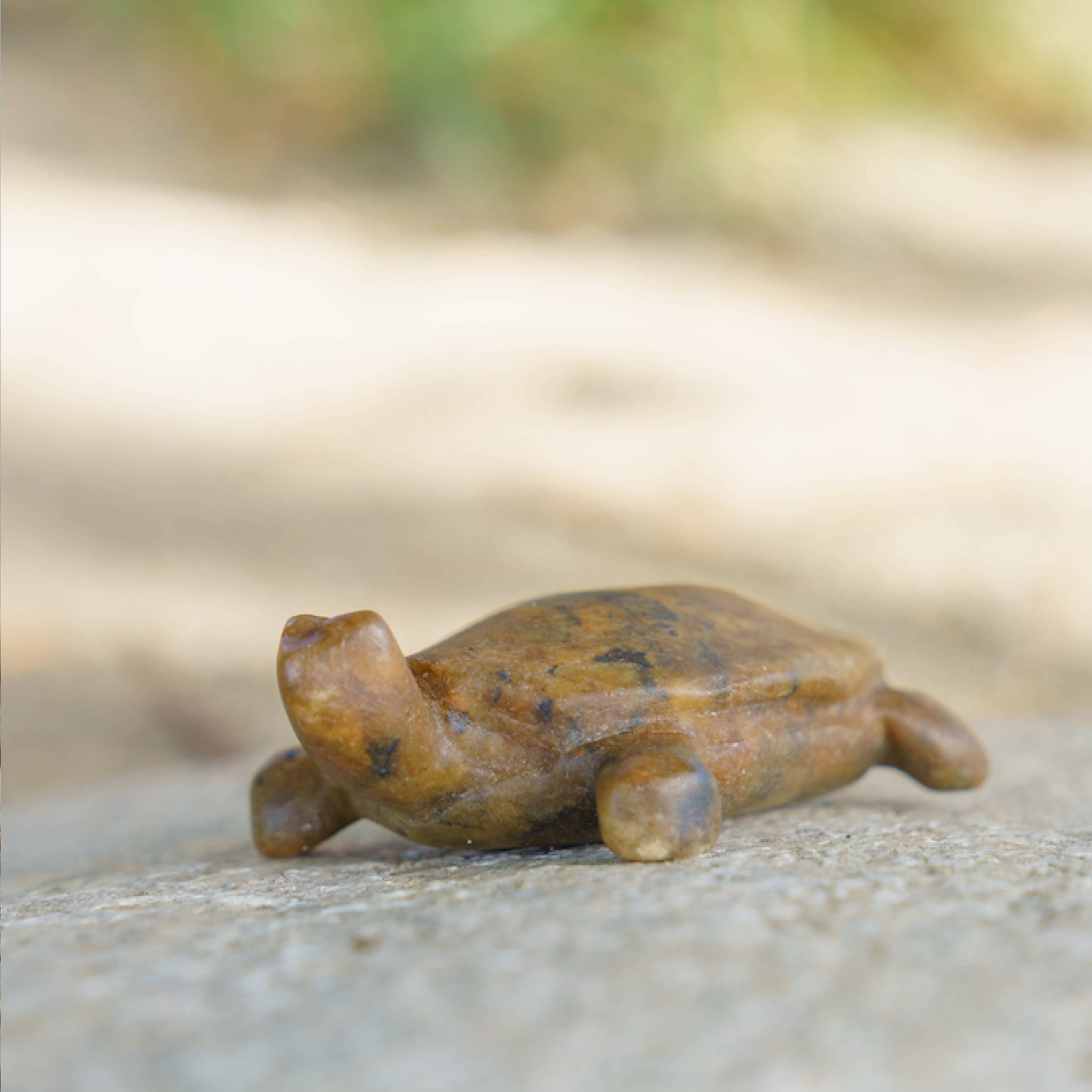 Turtle & Orca Soapstone Carving and Whittling