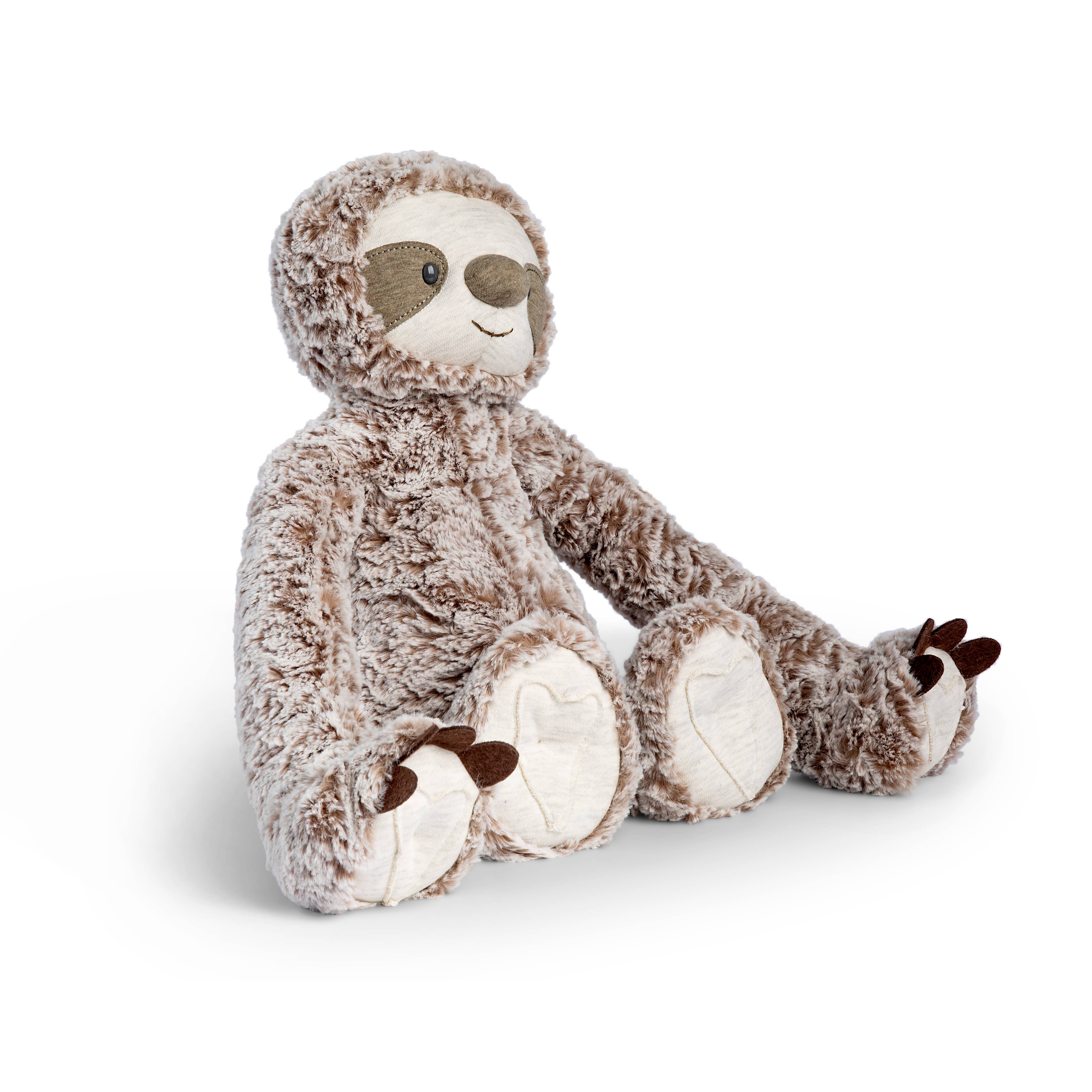 Environmental Science Curriculum Kit - The Sloth